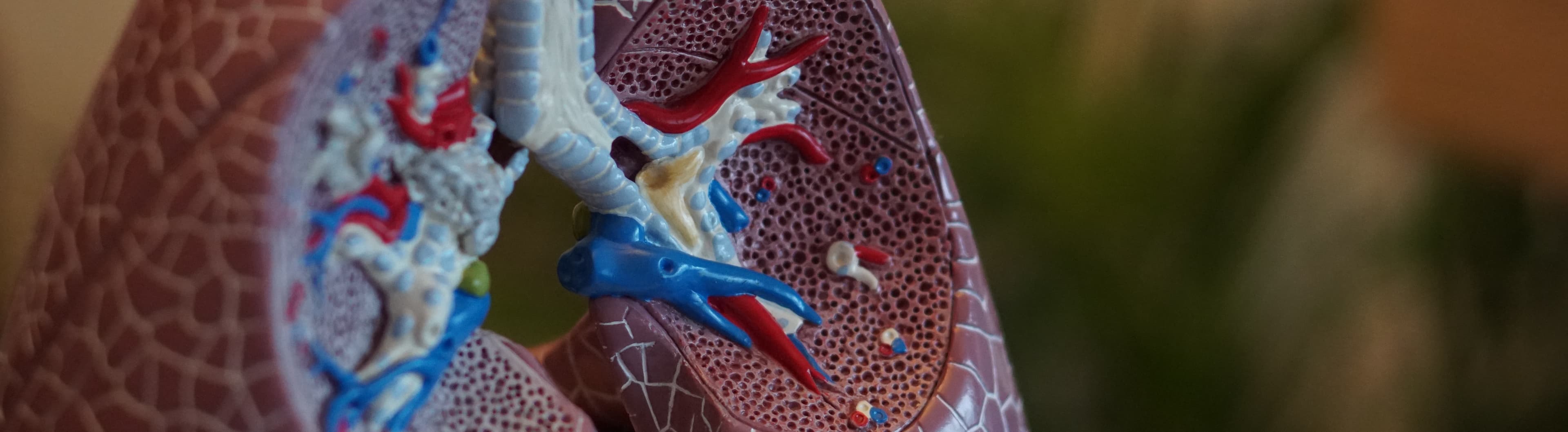 Penyakit Pernapasan Kronis